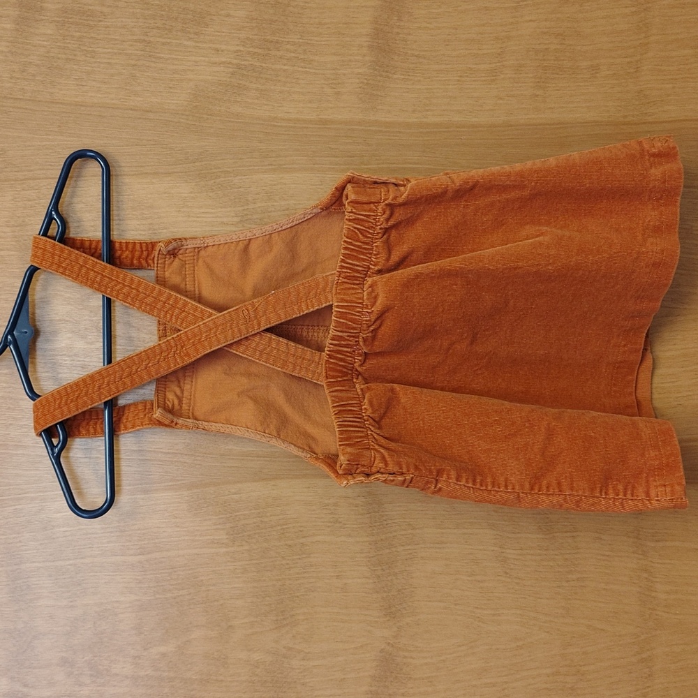 Isaac Mizrahi Orange Corduroy Embroidered Pumpkin Dress - Picture 5 of 8